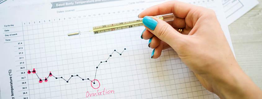 Ovulation Symptoms: How to test & Why they are important