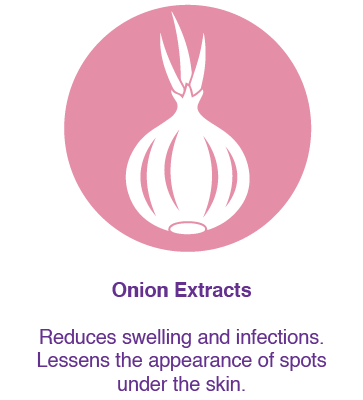 Onion extract reduces swelling & infections