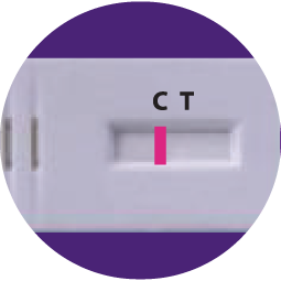 One pink line at C indicating a negative result