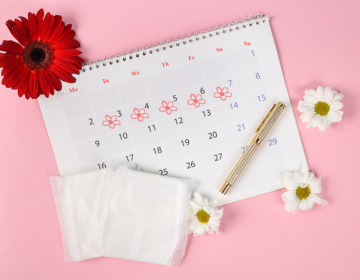 Track your most fertile days by learning your ovulation date with Prega News