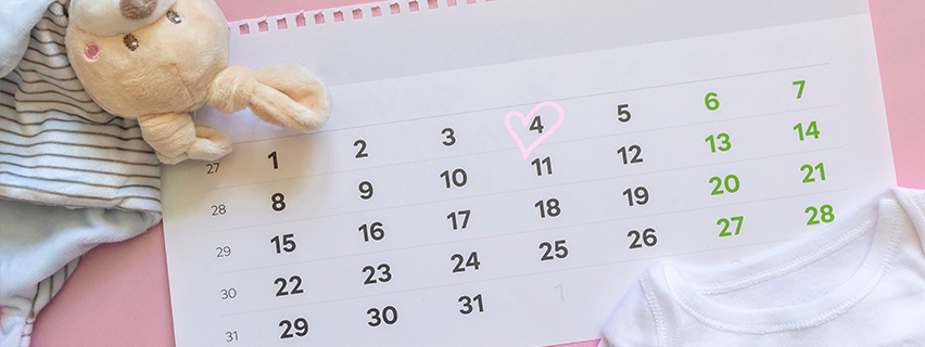 A Guide to Every Stage: Your Essential Week-by-Week Pregnancy Calendar